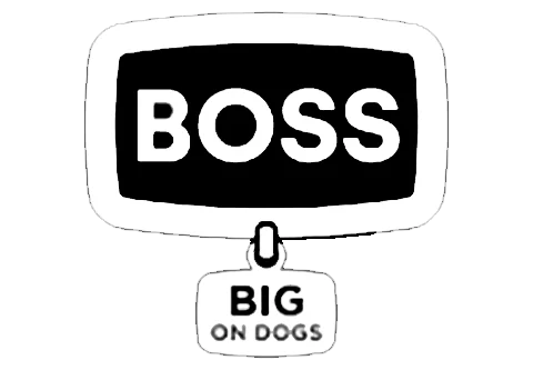 Boss