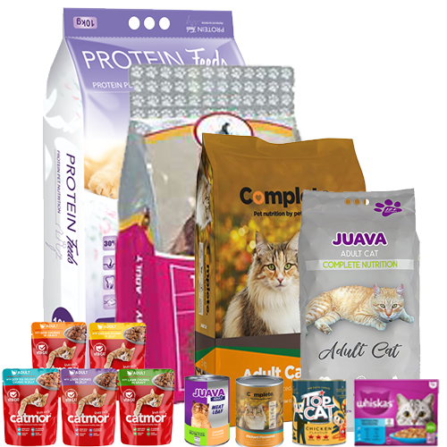CaTFoods
