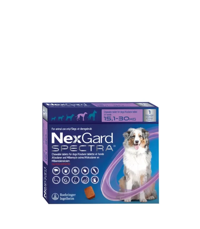 NEXGARD SPECTRA LARGE SINGLE 15.1 30KG png 1 NEXGARD SPECTRA LARGE SINGLE 15.1 30KG png 1