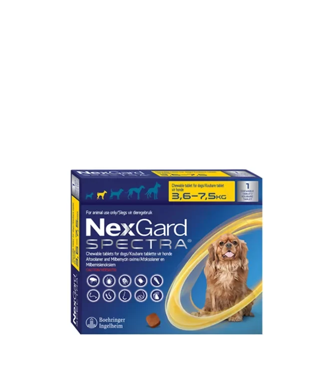 NEXGARD SPECTRA SML SINGLE 3.6 7.5KG png 1 NEXGARD SPECTRA SML SINGLE 3.6 7.5KG png 1