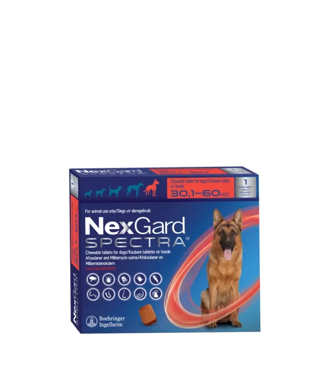 NEXGARD SPECTRA XL LARGE SINGLE 30.1 60KG png 1 NEXGARD SPECTRA XL LARGE SINGLE 30.1 60KG png 1