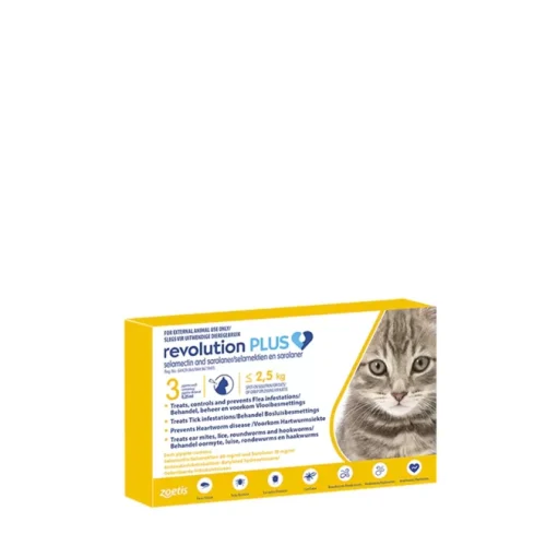 Revolution Plus Kittens png 1