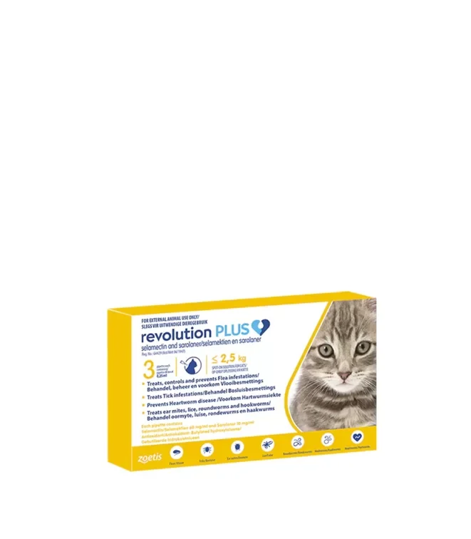 Revolution Plus Kittens png 1 Revolution Plus Kittens png 1