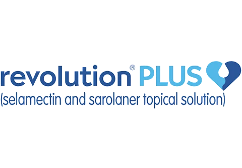 Revolution Plus