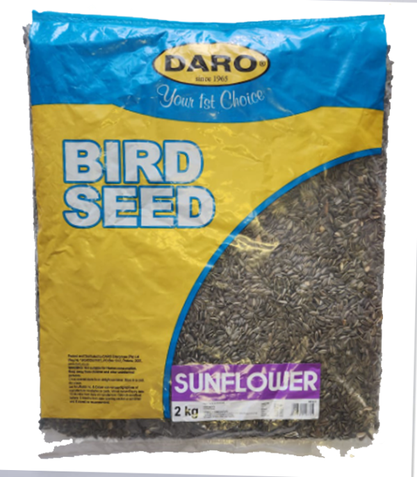 DaroSunflower DaroSunflower