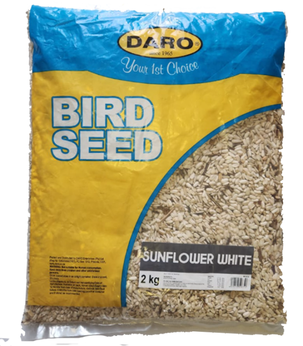 DaroSunflowerWht 3 DaroSunflowerWht 3
