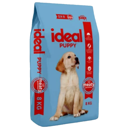Ideal puppy