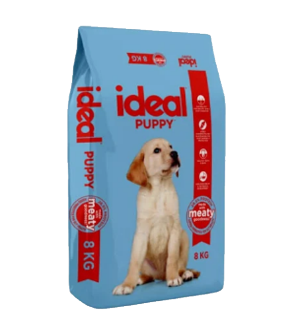 Ideal puppy