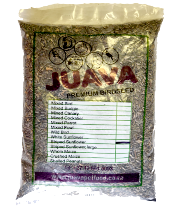JuavaStripedSunflowerSeed sunflower seed