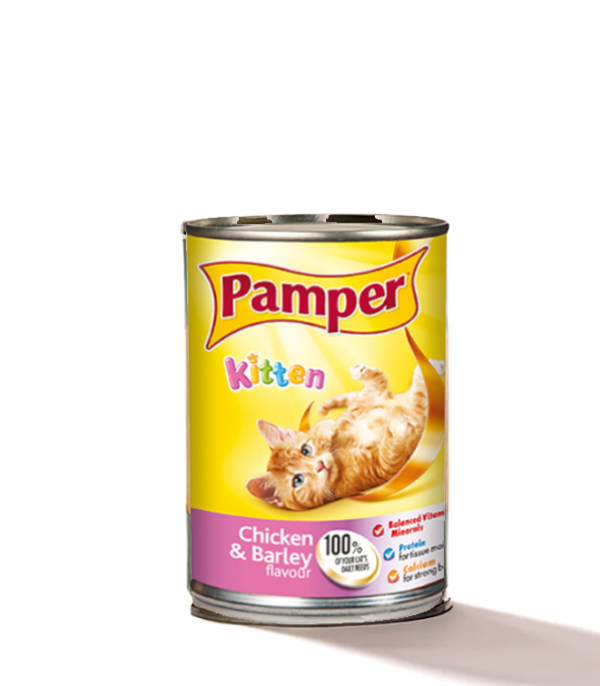 Pamper Kitten