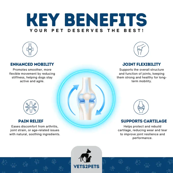 Vets2Pets Premium Joint Support Powder for Dogs, 250g