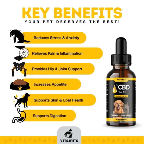 Vets2Pets Premium CBD Oil for Dogs & Cats - 600mg CBD (30ml)
