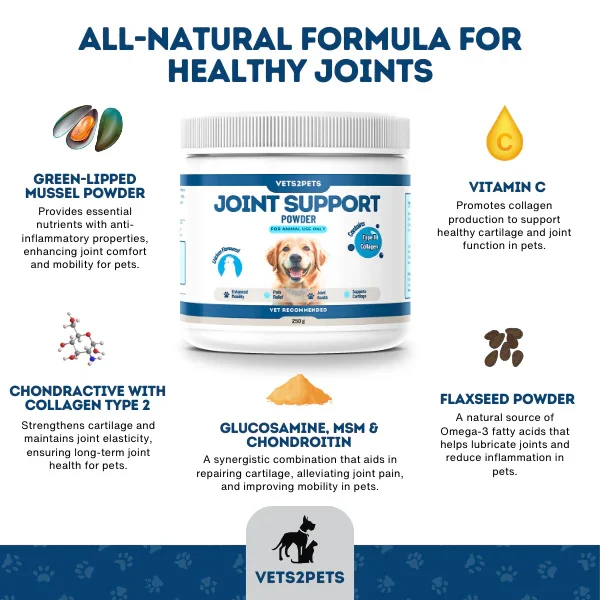 Vets2Pets Premium Joint Support Powder for Dogs, 250g