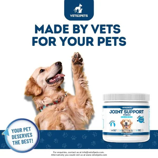 Vets2Pets Premium Joint Support Powder for Dogs, 250g