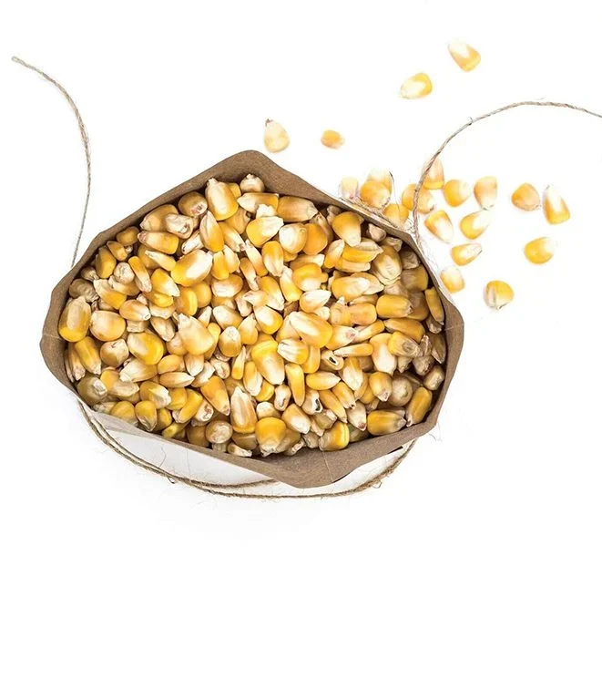 Serfco-Whole-Yellow-Maize.jpg Serfco Whole Yellow Maize 10kg