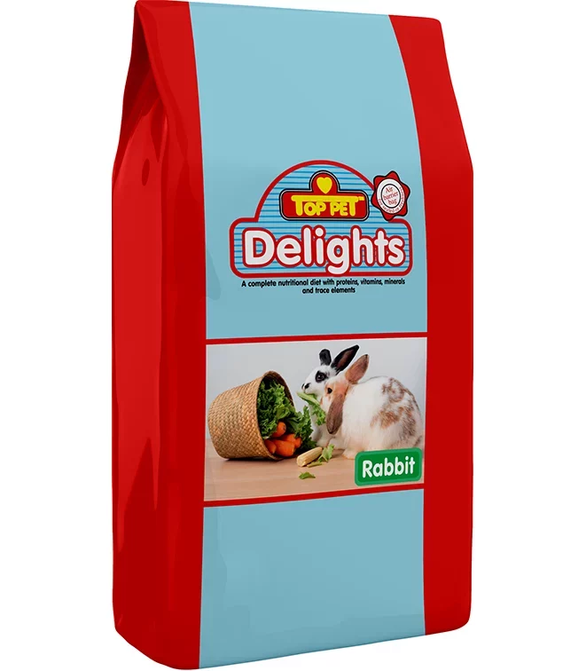 Delight-Rabbit