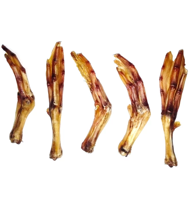 Duck Feet (5 Pack)