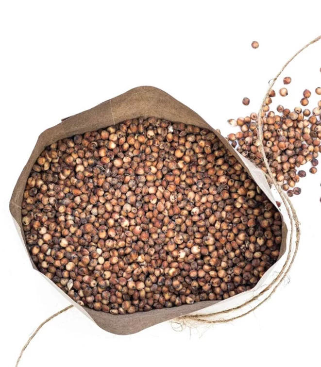 Red-Sorghum Serfco Red Sorghum